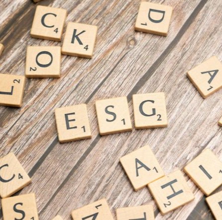 ESG Policies and Commitments